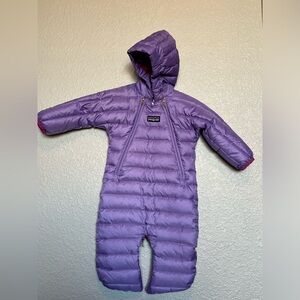 Patagonia Bunting goose down